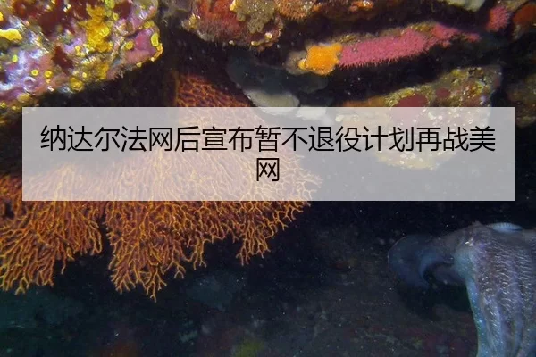 na-da-er-fa-wang-hou-xuan-bu-zan-bu-tui-yi-ji-hua-zai-zhan-mei-wang-2-219.jpg