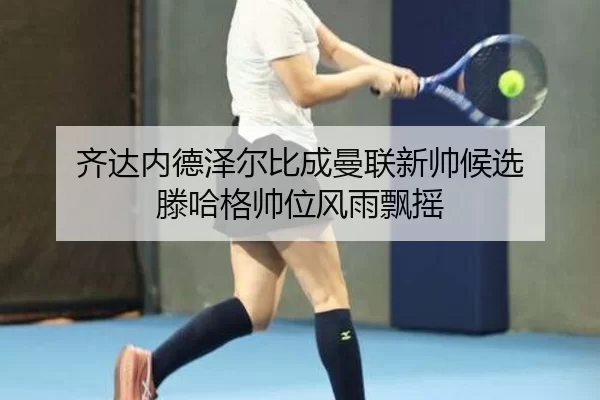 qi-da-nei-de-ze-er-bi-cheng-man-lian-xin-shuai-hou-xuan-teng-ha-ge-shuai-wei-feng-yu-piao-yao-2-982.jpg