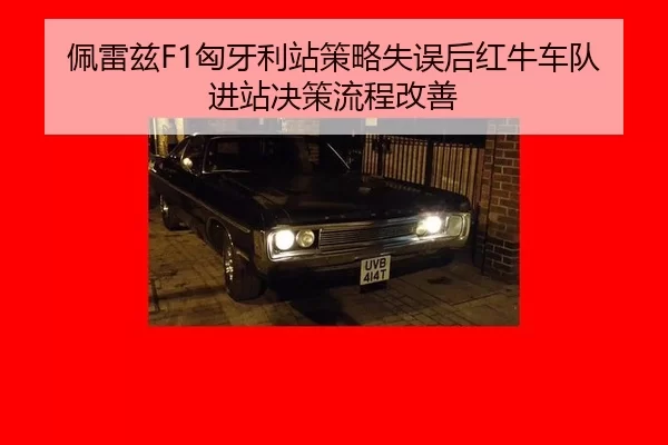 pei-lei-zi-xiong-ya-li-zhan-ce-lve-shi-wu-hou-hong-niu-che-dui-jin-zhan-jue-ce-liu-cheng-gai-shan-2-503.jpg