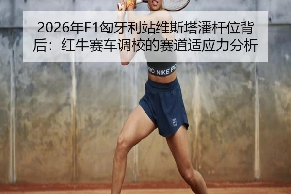 nian-xiong-ya-li-zhan-wei-si-ta-pan-gan-wei-bei-hou-hong-niu-sai-che-diao-xiao-de-sai-dao-shi-ying-li-fen-xi-3-287.jpg